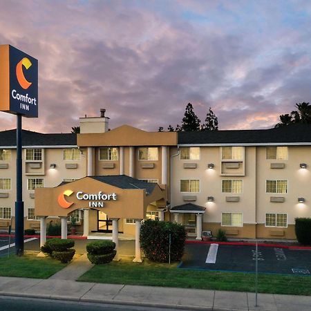 Comfort Inn Modesto Bagian luar foto