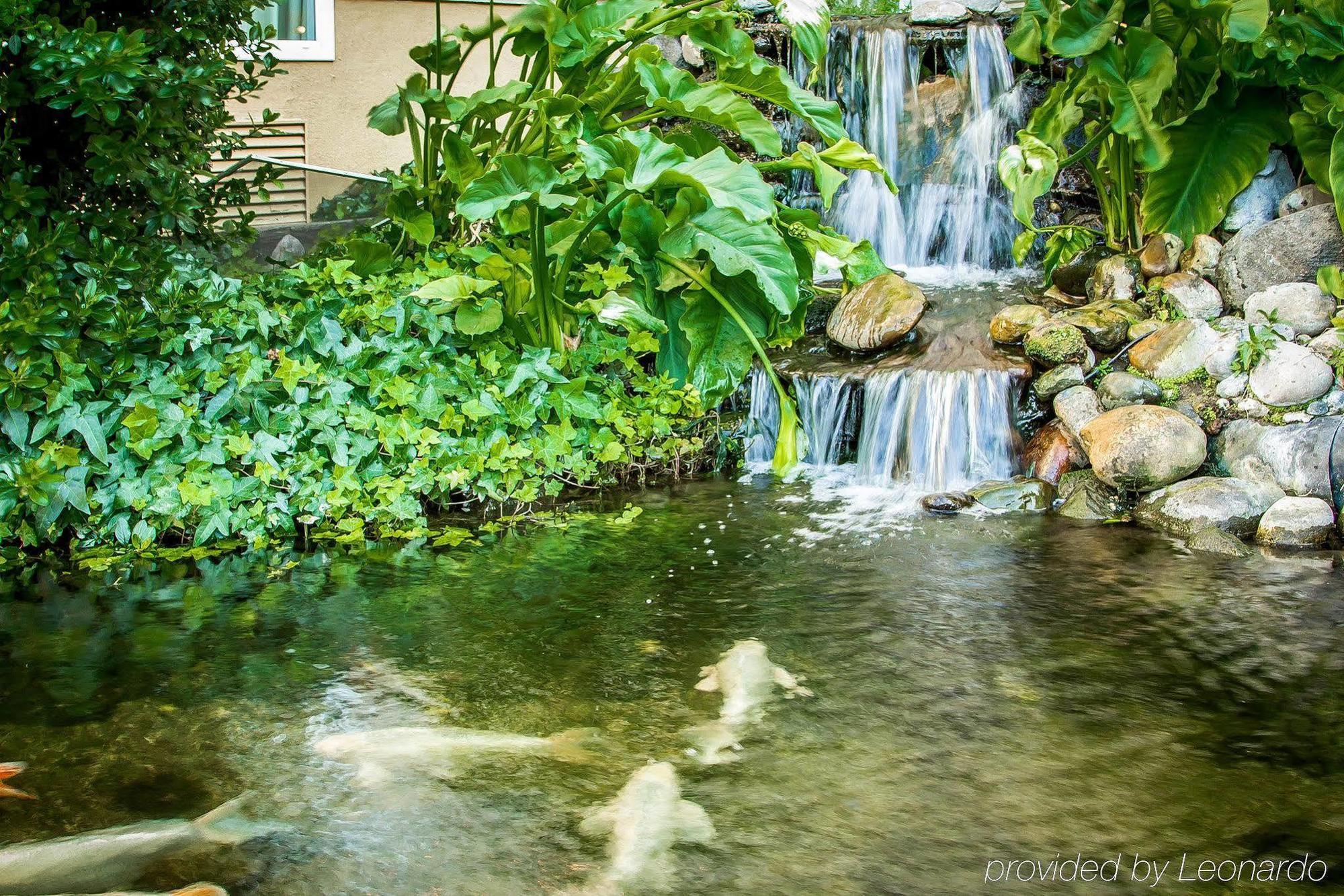 Comfort Inn Modesto Bagian luar foto